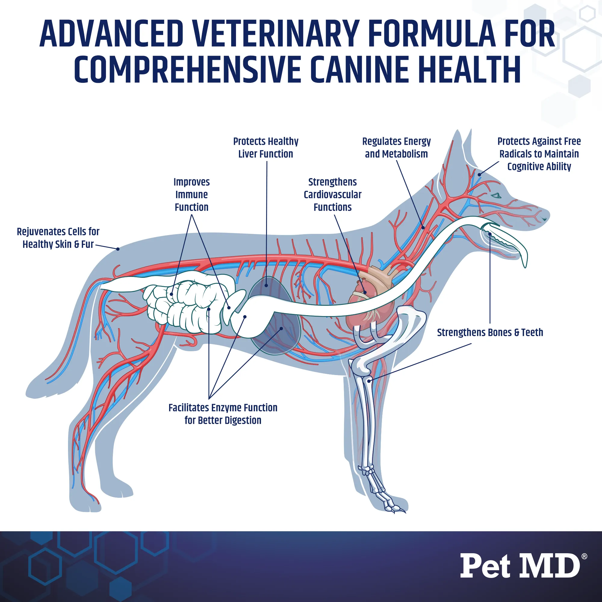 Daily Vitamins for Dogs - 60 Soft Chews