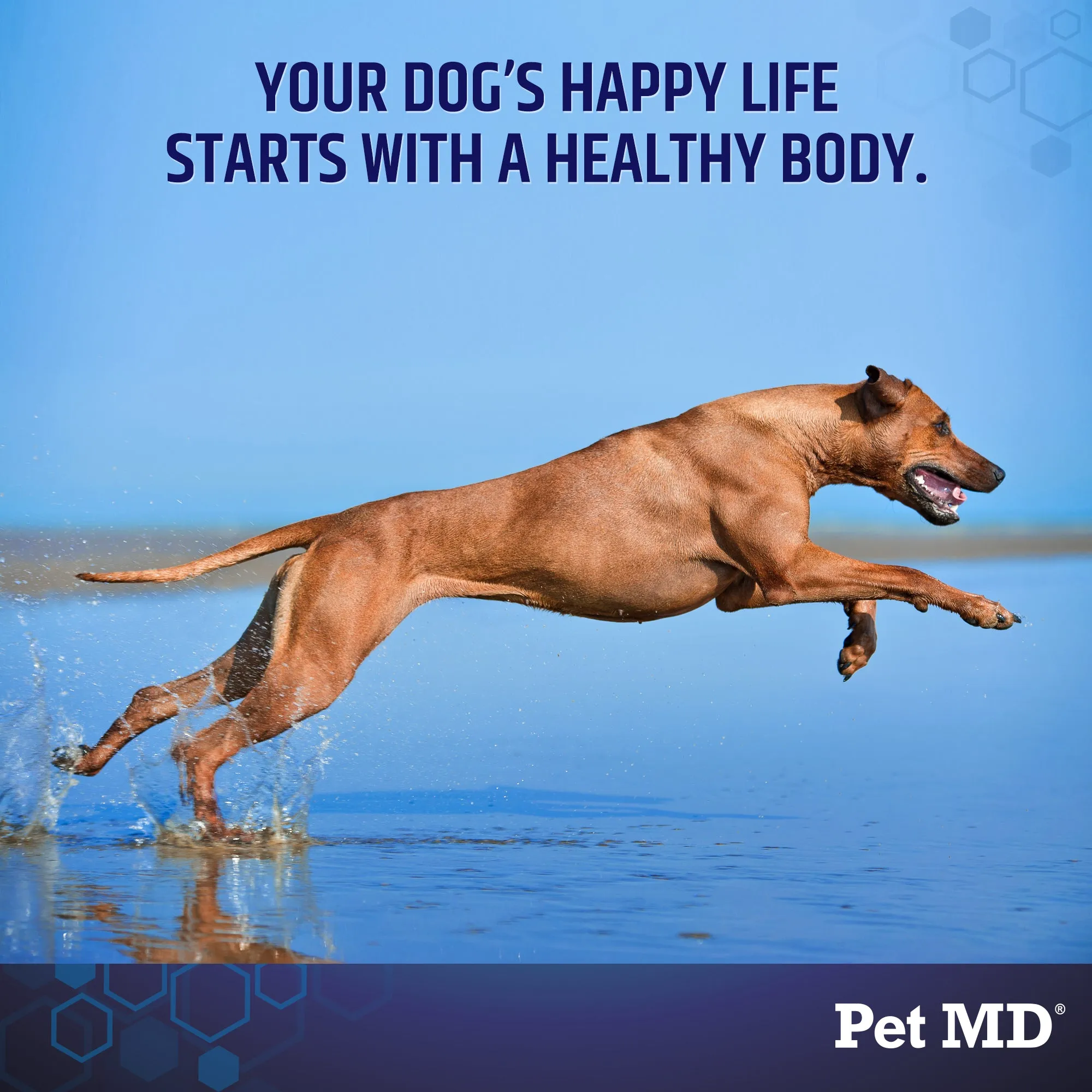 Daily Vitamins for Dogs - 60 Soft Chews