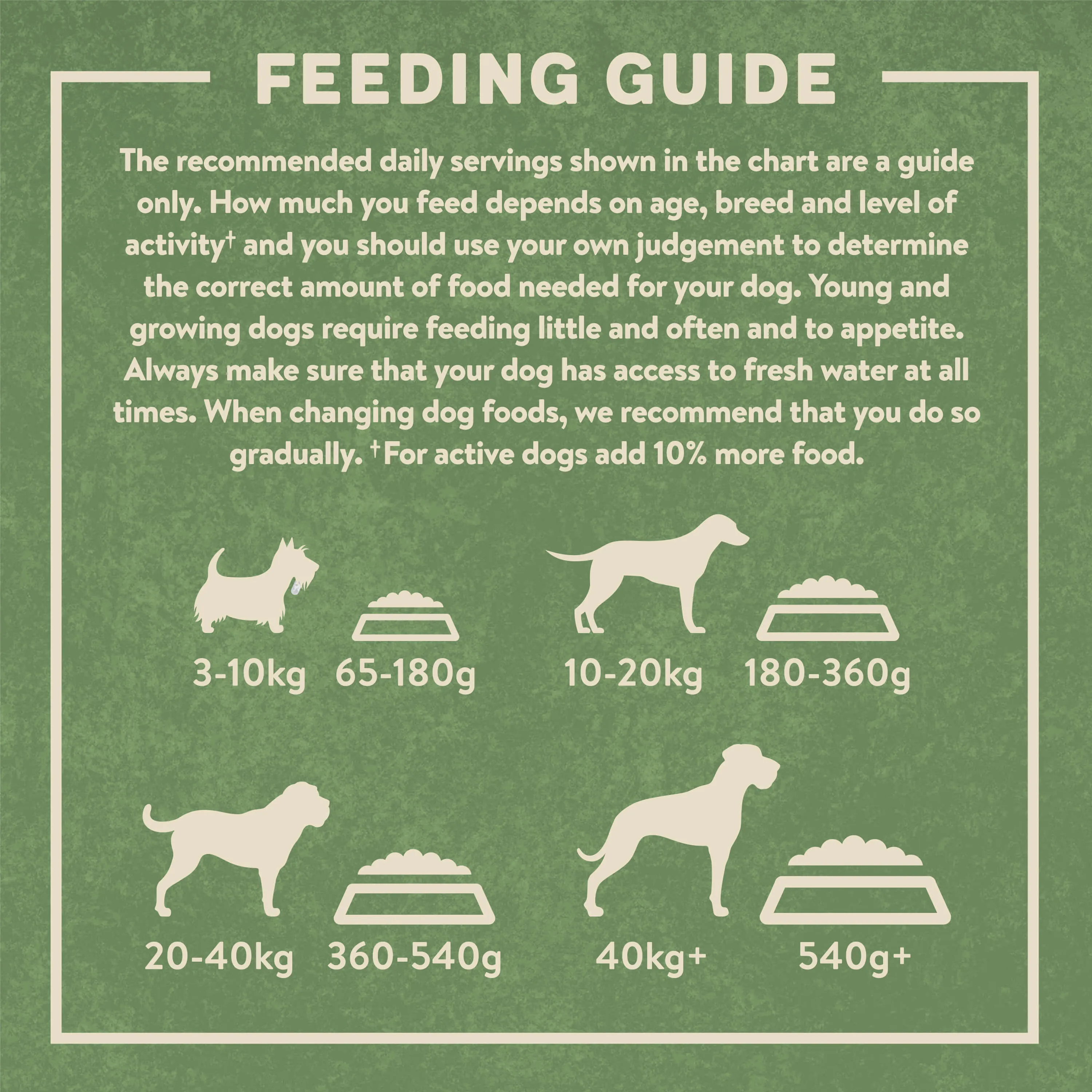 Dry Adult Dog Food Rich in Salmon & Potato 1.7kg