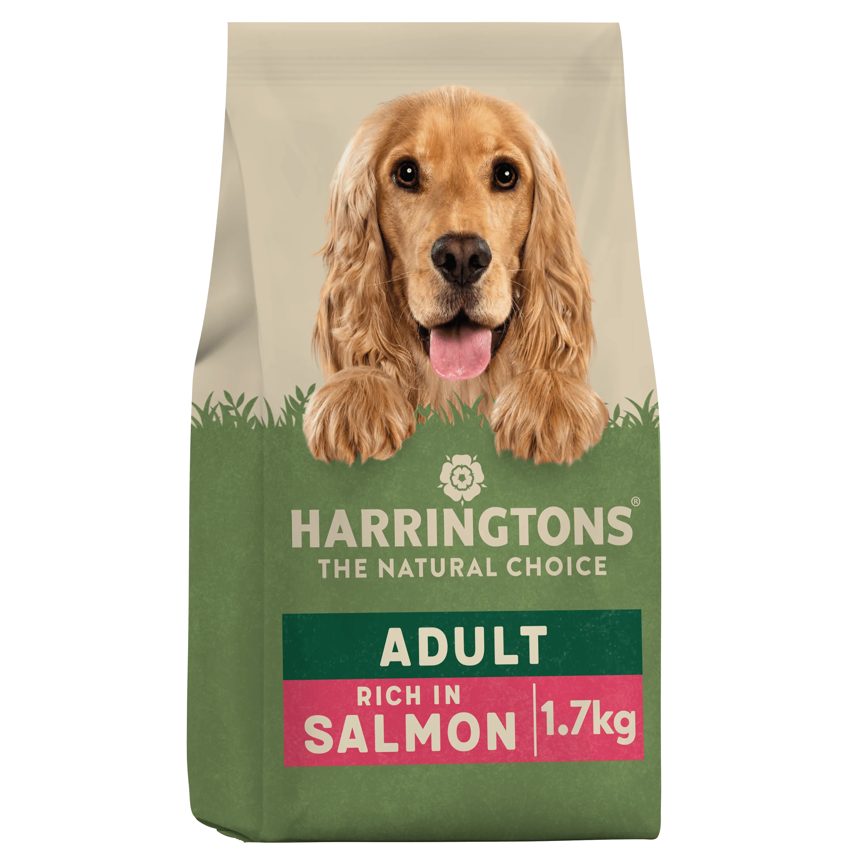 Dry Adult Dog Food Rich in Salmon & Potato 1.7kg