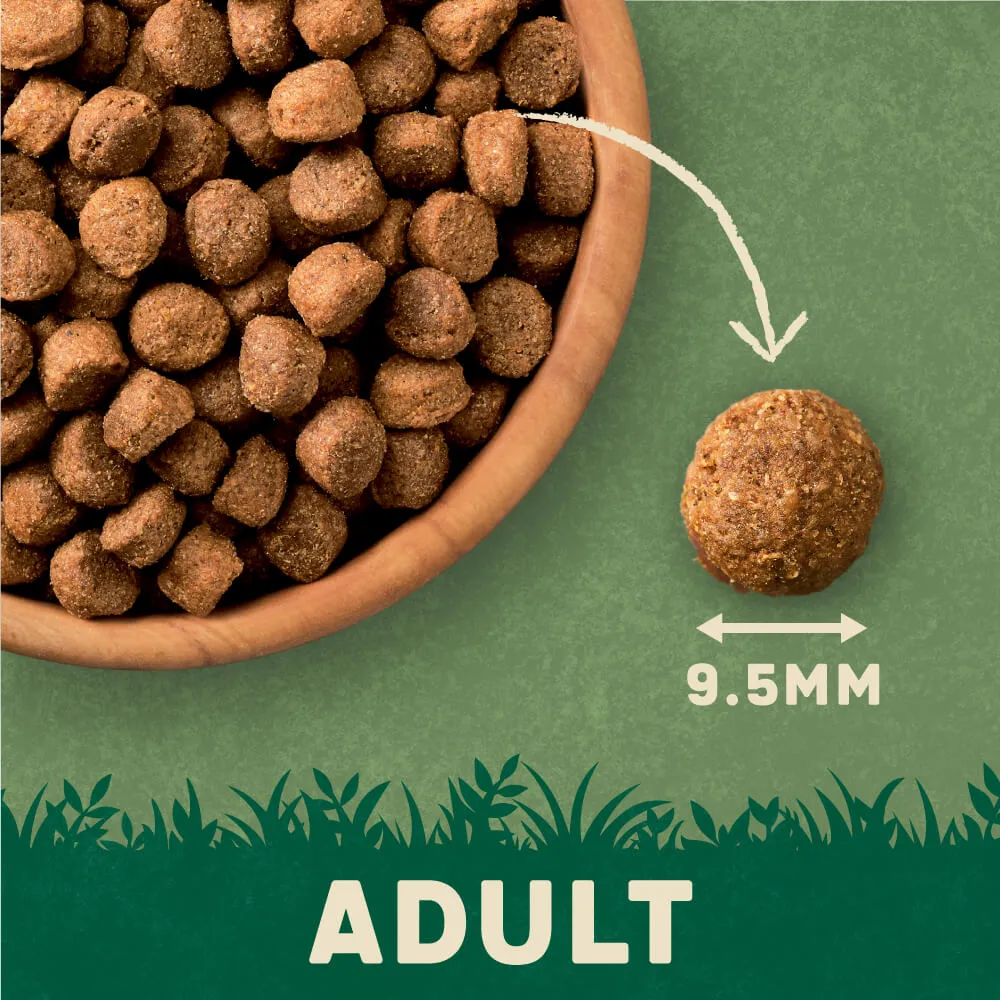 Dry Adult Dog Food Rich in Salmon & Potato 1.7kg