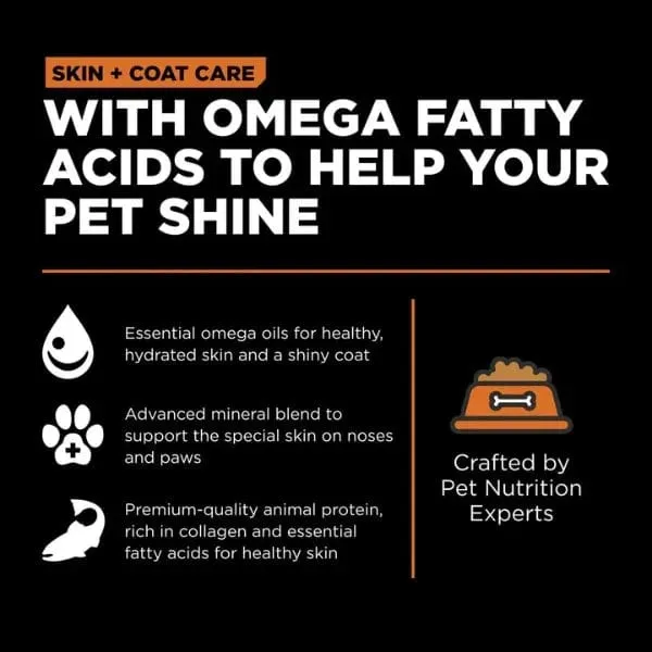Go! Solutions Skin & Coat Care Grain-Free Salmon Recipe Dry Cat Food