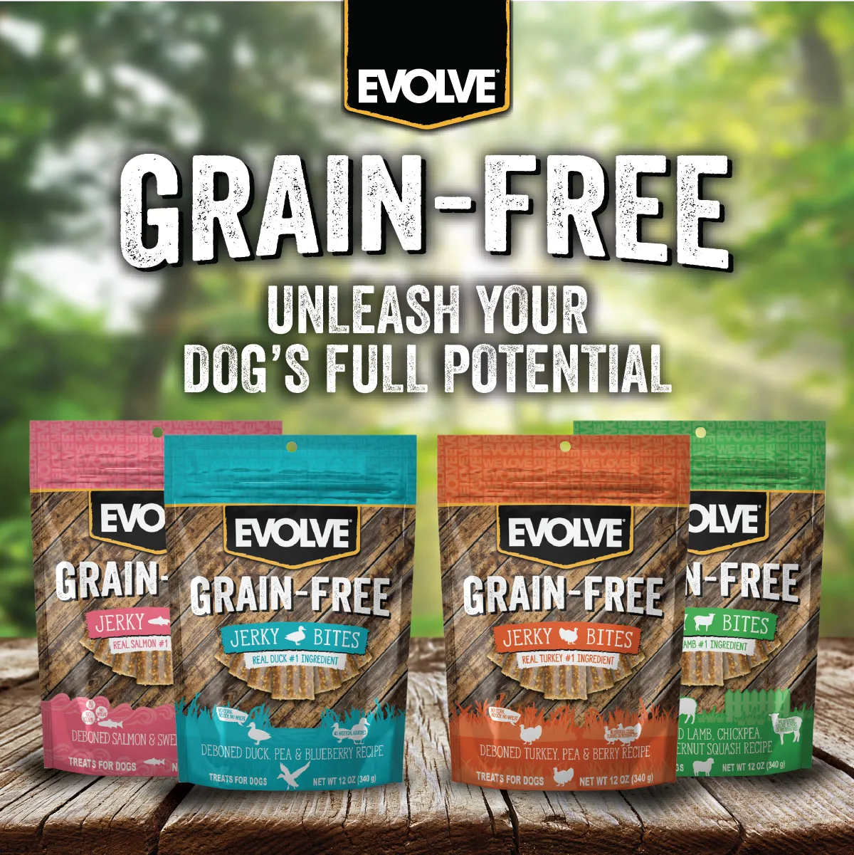 Grain Free Turkey, Pea, & Berry Jerky Bites | 12 oz | Evolve
