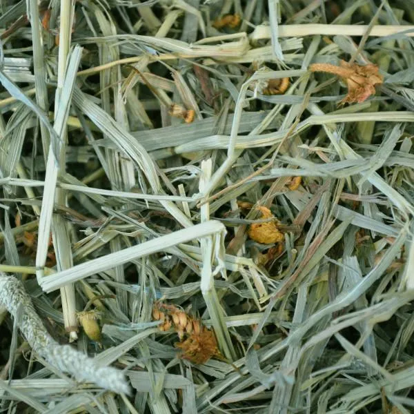 Oxbow Botanical Hay 425g^^^