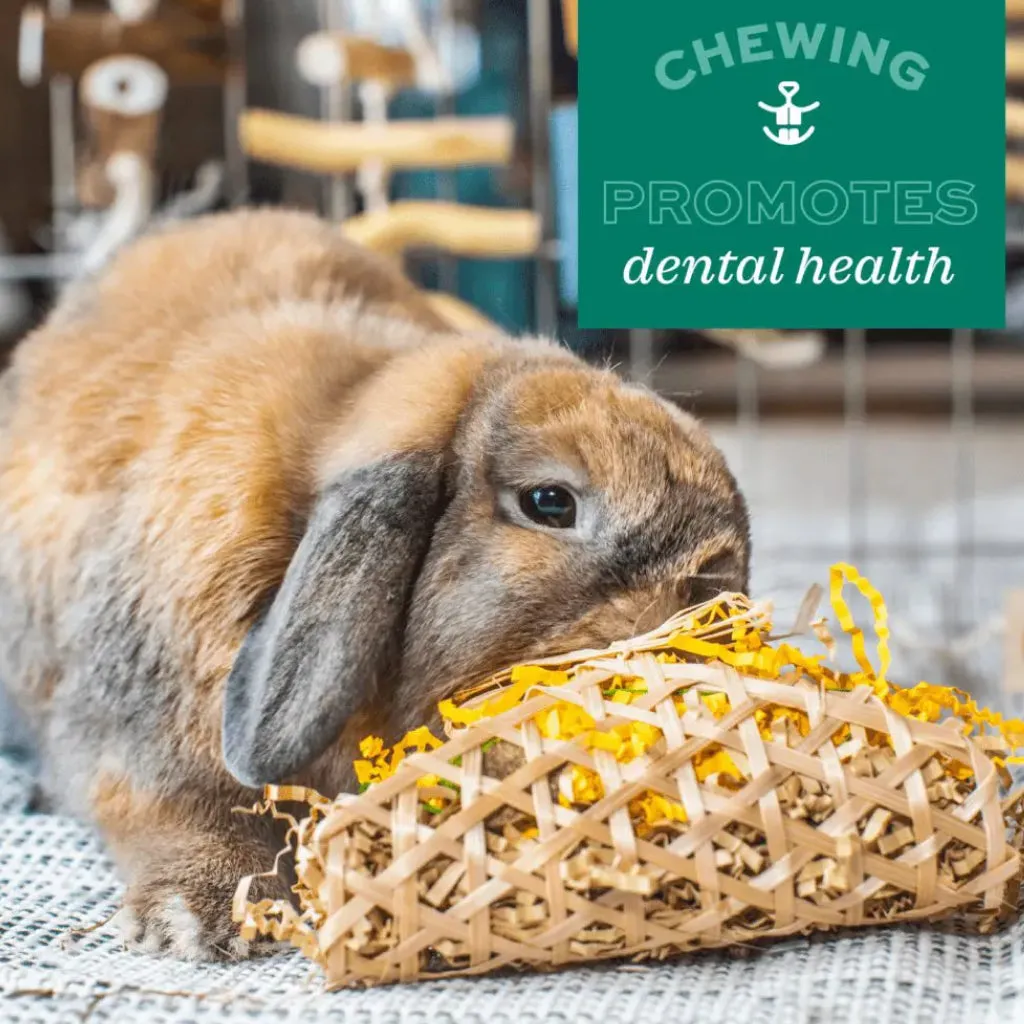 Oxbow Enriched Life Timothy Party Pack Small Animal Chews (5 pack)