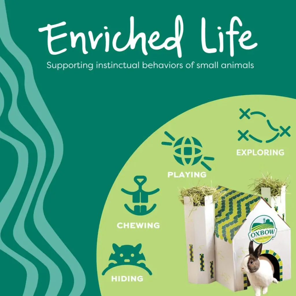 Oxbow Enriched Life Timothy Party Pack Small Animal Chews (5 pack)