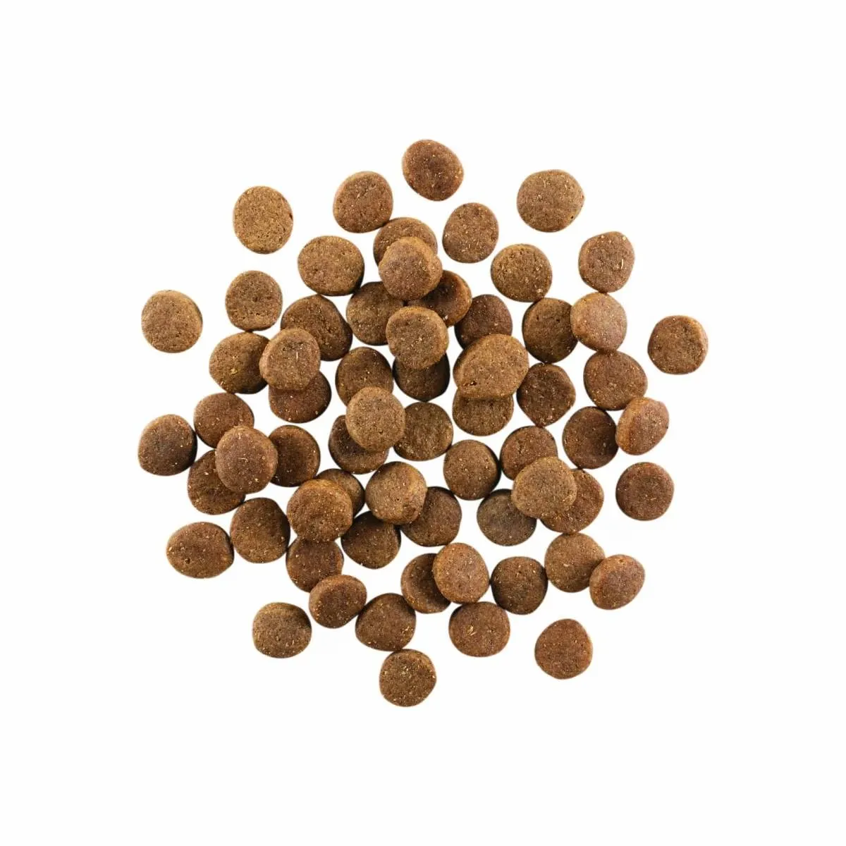 Petcurean GO! Solutions CARNIVORE  GRAIN-FREE CHICKEN, TURKEY   DUCK PUPPY RECIPE