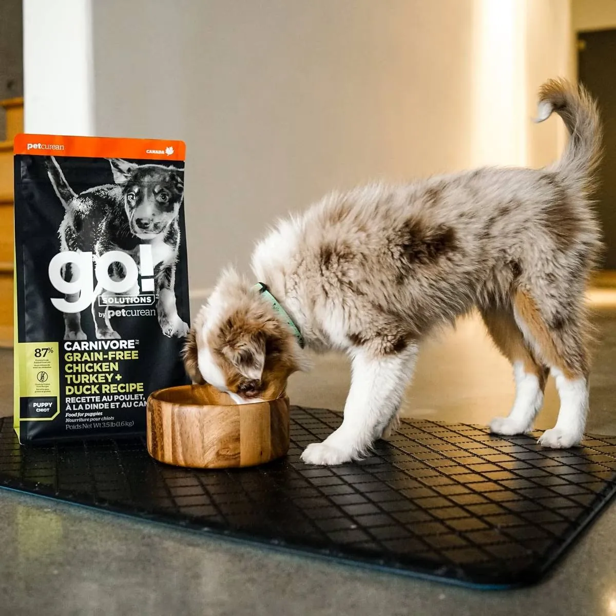 Petcurean GO! Solutions CARNIVORE  GRAIN-FREE CHICKEN, TURKEY   DUCK PUPPY RECIPE