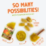 Weruva Pumpkin Patch Up! Pumpkin with Coconut Oil & Flaxseeds Wet Dog and Cat Food